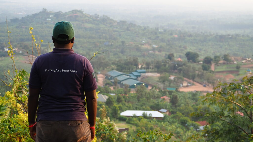 Collins overlooking view, Agri Evolve mill, Uganda