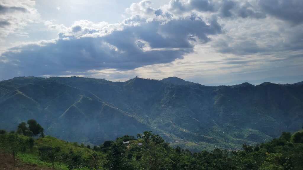 Rwenzori View, Uganda, Agri Evolve